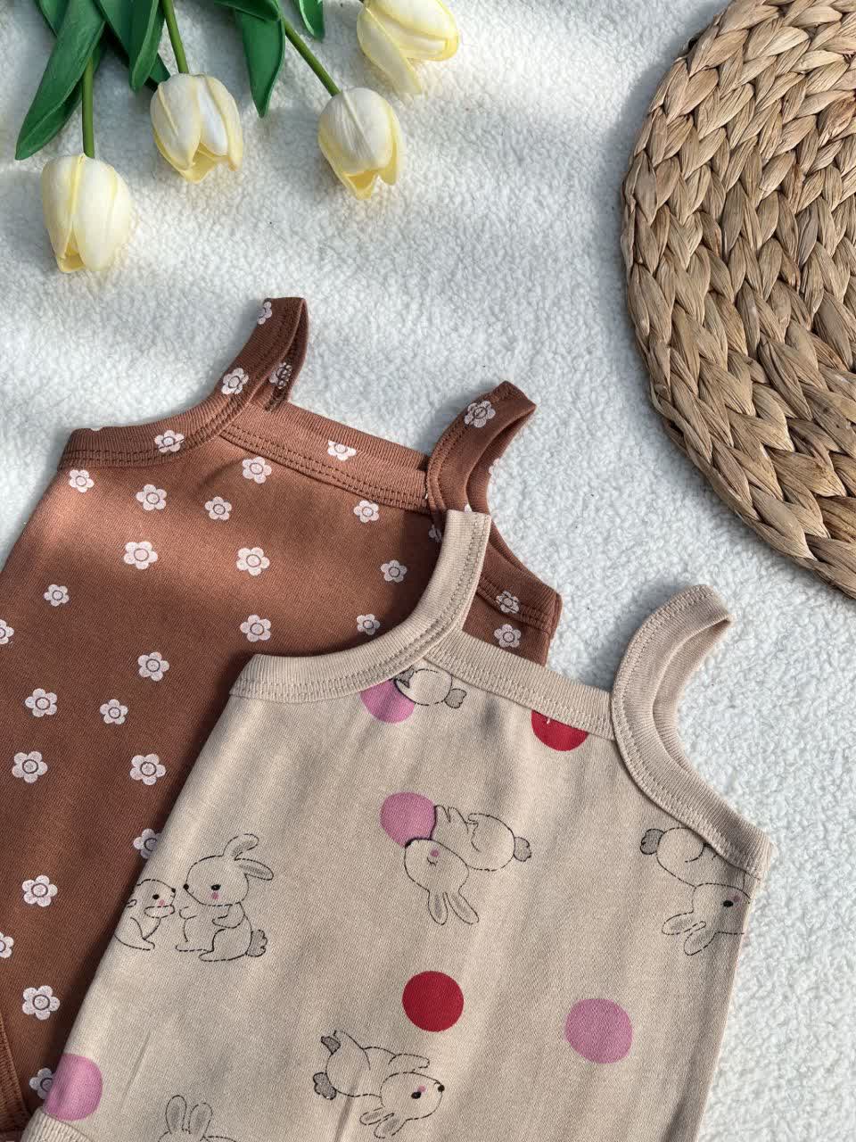 تاپ وهد خرگوش